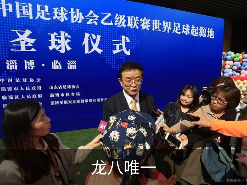 了解龙八唯一